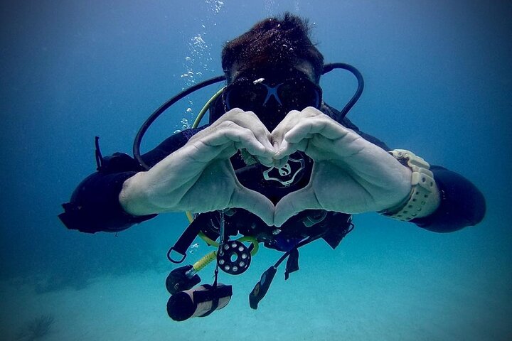5 Essential Techniques for Beginners to Master the Art of Diving